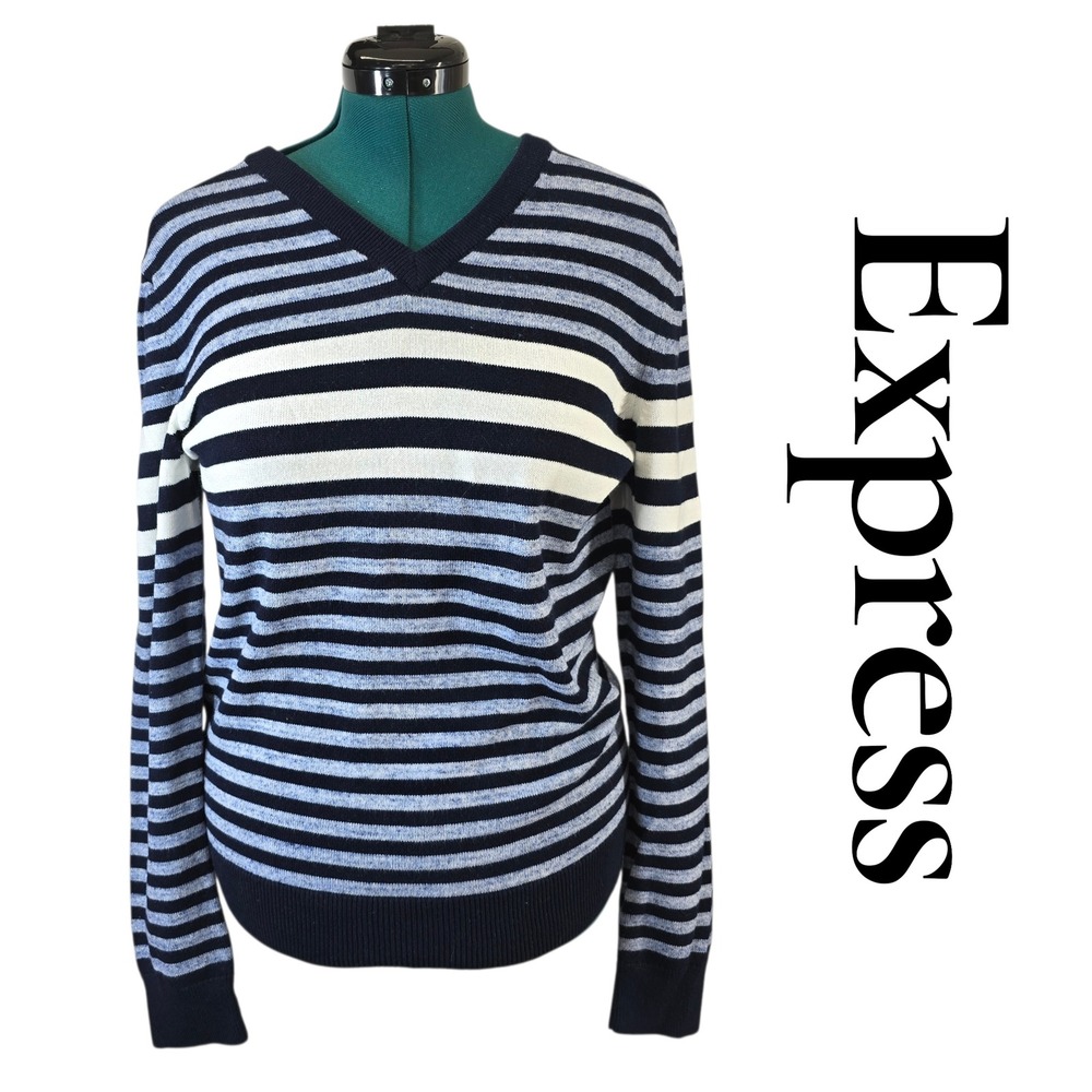 Express Womens Navy Blue Light Blue Striped V-Neck Cotton Knit Sweater Size M